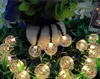 LED lumière solaire extérieure bulle boule guirlande lumineuse 5M 7M 10M étanche décoratif guirlande lampes pour la maison jardin décor