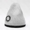 Beanie Skull Caps Warm Knitted Hat Rabbit Hair Letter Design for Man Woman Ball Cap Hats 9 Colors Top Quality6141508