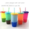 100pcs/로트 재사용 가능한 플라스틱 물병 밀짚 온도 색상 교환 콜드 컵 700ml 마술 텀블러 생일 선물 T200911
