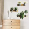 etagere murale plante