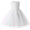 New Fashion Flower Girl Dress Party Compleanno matrimonio principessa Toddler neonate Vestiti Bambini Abiti da ragazza per bambini G1129