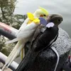 Autres fournitures d'oiseaux Laisse de perroquet Harnais réglable en plein air Corde d'entraînement Anti-morsure Bande volante Doux Confortable