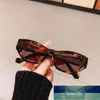 Soei Moda Pequeno Gato Olho Mulheres Óculos De Sol Vintage Vintage Tea Eyewear Homens Trending Black Light Cinza Sol Óculos Shades UV400 Preço de Fábrica Especialista Qualidade