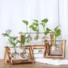 レトロな固体木製のスタンドと金属の旋回ホルダーが付いている水耕植物の家具の装飾