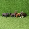 シミュレーションメリノ羊、アルガリ、ヒマラヤ羊、ブラックシープ、ヤギ動物モデルアクションフィギュア教育玩具Figurine C0220