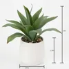 2021 New Oem Customized Indoor Artificial Tropical Plant Realistic Artificial Aloe Vera Plant For 5014566