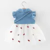 2019 Çocuk Giyim Kız Elbise Yaz Bebek Yenidoğan Yürüyor Bebek Kız Patchwork Dantelli Bebek Yaka Tül Elbiseler 1 2 3 Yıl Q0716