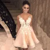 2021 Apliques profundas com decote em v Renda Homecoming Vestido de Alta Baixa Organza Backless Promovers Princesa Graduação Festa Vestidos