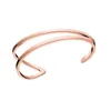 2021 Europeanc-type armband fit DW mannen en vrouwen open lijn titanium staal rose goud Q0717