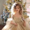 Adorable robe de bal Toddler Girls Pageant Robes Dentelle Appliqued Manches Longues Fleur Fille Robe Cristaux Tulle Première Communion Robes