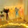 Party Decoration Led Light Rose Balloons Birthday Valentine's Day Gift Wedding Christmas Balloon