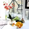 家の結婚式の装飾の花の高品質偽の花のための高級ラテックス蘭の造花白い蝶の蘭の花