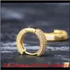 Luxe Designer Oorbellen Hip Hop Sieraden Iced Out Earring Bling Mannen Vrouwen Diamond Stud Oorbellen Rapper Hiphop Charms Goud Zilver Ea314C