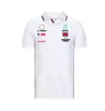 F1 Rennauto Arbeit Kleidung Kart Amg Team Shortsleeved Revers T -Shirt Polo Shirt Formel 1 Polyester Schnelldrynikel gleiche Custom7384323