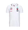 Auto da corsa F1 Abiti da lavoro Kart Amg Team ShortSleeved Lapel Tshirt Polo Shirt Formula 1 Polyester QuickDrying Same Custom3487545