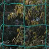 Outros suprimentos de jardim Suporte de plantas Netting Escalada Legumes Flores Verde Mesh 10x10cm Vindo para Recipientes Trellis