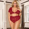 NXY SEXY SET Women Plus Size Lace Underkläder Set Underkläder 3XL 5XL Ladies Lenceria Se genom Ropa Interior Beach Sexig Bra Panty 1129