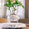Floating Magnetic Levitating Flower Pot Bonsai Air Plant Planter ted For Home Office Desk Decor Creative Gift 211130