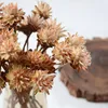 الزهور الزخرفية الزهور أكاليل النبات الطبيعية الريش chrysanthemum باقة ديي الاصطناعية على الطراز الشمال