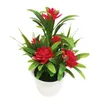 Flores decorativas Wreaths Wreaths Realistic Artificial Plant Pot Pot Outdoor Decoração de Escritório para Gifto Casas de Bonsai Casas Decoração de festa de casamento Decoração