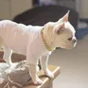 Collari per cani Guinzagli Collare a catena in metallo alla moda Collana per animali domestici Pitbull da addestramento resistente per cani di taglia piccola, media e grande cubano