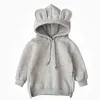 Pink/Grey/Yellow/Green/Bury Hoodie for Kids Autumn Winter Warm Sweater Fashion Boys and Girls Pullover Costume 220118