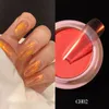 1 g/pudło przezroczyste Holo lustro brokatowe do paznokci Aurora neonowe proszki kurz kameleon Nails Art Chrome Pigment proszek do zanurzania dekoracji