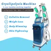 Cryolipolisis Body Slimming Machine 4 Cryo Handtag Arbeta tillsammans Celluliter Avlägsnande Fettreducering Lipo Laser Diodsalong Använd