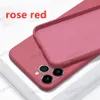 coque iphone 12 pro max 11 x xs xr 8 plus telefon fällen Flüssige Silikon Fall abdeckung Für Samsung S21 s20 HINWEIS 20 kamera Schutz