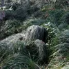 Jaktuppsättningar Camouflage Ghillie Suit Secretive Aerial Shooting Clothes Sniper Passar Kläder för