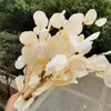110g / 20-35cm, natural de eucalipto preservado deixa buquê, exibição eterna organizar flores para casamento decoração de casa acessórios 210317
