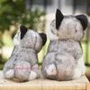 20-30 cm Cute Husky Dog Peluche Lupo Morbido Peluche Carino Peluche Kawaii Bambini Bambola Birichino Regalo Di Compleanno Bambino Ragazzo Wj131 Q0727