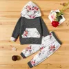 Varış 2-piece Bebek Toddler Çiçek Baskı Kapüşonlu Uzun Kollu Kazak Ve Pantolon Setchildren's Giyim 210528