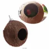 finch bird toys