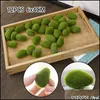 Festive Party Supplies Garden30Pcs Artificial Moss Stones Grass Green Plant Home Garden Decor Landscape Elegant And Atmospheric Decorative F