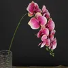 4pcs 가짜 모이스춰 라이징 난초 (9 머리 / 조각) 40.55 "웨딩 홈 인공 꽃을위한 시뮬레이션 진짜 터치 3D 접골지 BWF5110
