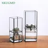 Nordic Transparent Glass Double Layer Hydroponic Duckulent Vase Geometry Geometry Plant Вставка дома украшение цветочной горшок Y200709