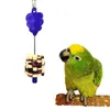 Rostfritt stålhållare Stick Frukt Skewer Bird Treating Tool PapegoT Toy Cage Tillbehör