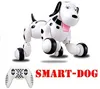 Çocuk 2.4g Elektronik Pet Kablosuz Akıllı Uzaktan Kumanda Robot Köpek Hayvan Çocuklar Eğitici Oyuncaklar Çocuk Oyuncakları Dans Robot Köpek