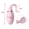 NXY Eggs 10 vitesses Vibrateurs d'oeufs pour femmes Charge USB Télécommande Silicone Bullet Sans fil G Spot Stimulateur de clitoris Jouets sexuels pour adultes 1124