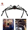 50% KORTING VOOR PARTY Halloween Decoration Black Spider Haunted House Prop Indoor Outdoor Giant 3 Maat 30 cm 50cm 75cm Ottie