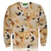 dimensioni del maglione del cane