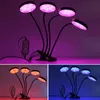 Planters & Pots LED Grow Light 5V USB Phytolamp For Plants Full Spectrum Dimmable Phyto Lamp Indoor Vegetable Flowers Tent Box Fitolamp