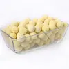 Decorations Aquarium Plants Porous Ceramic Filter Media Net Bag Biological Ball Fish Tank Plant Decoration Landscape Ornament2572