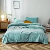 Solid Color Winter Golden Mink Wol Deken Pluizige Warme Zachte Cover Bedspread Blue Black Coral Fleece Pluche Dekens voor Bedden LF