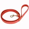 Colares Cachus Lashes Genuíno Leash Leash Para Pequenos Cães Grandes Médios Luxo Durável Running and Walking