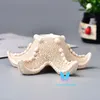 Multi-colored Starfish Crystal Ball Stand Base Room Decor Decoration Holder