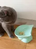 Cat Bowls المغذيات حماية العمود الفقري عنق الرحم القطط الأليفة للقطط