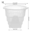 Vaso in rete in plastica trasparente per fiori di orchidea