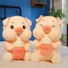 ZQSWKL 35/45 CM Leuke Fles Pig Pop Pluche Speelgoed Grote Gevulde Dieren Kinderspeelgoed Meisjes Roze Verjaardagscadeau Kawaii Anime Kussen Q0727